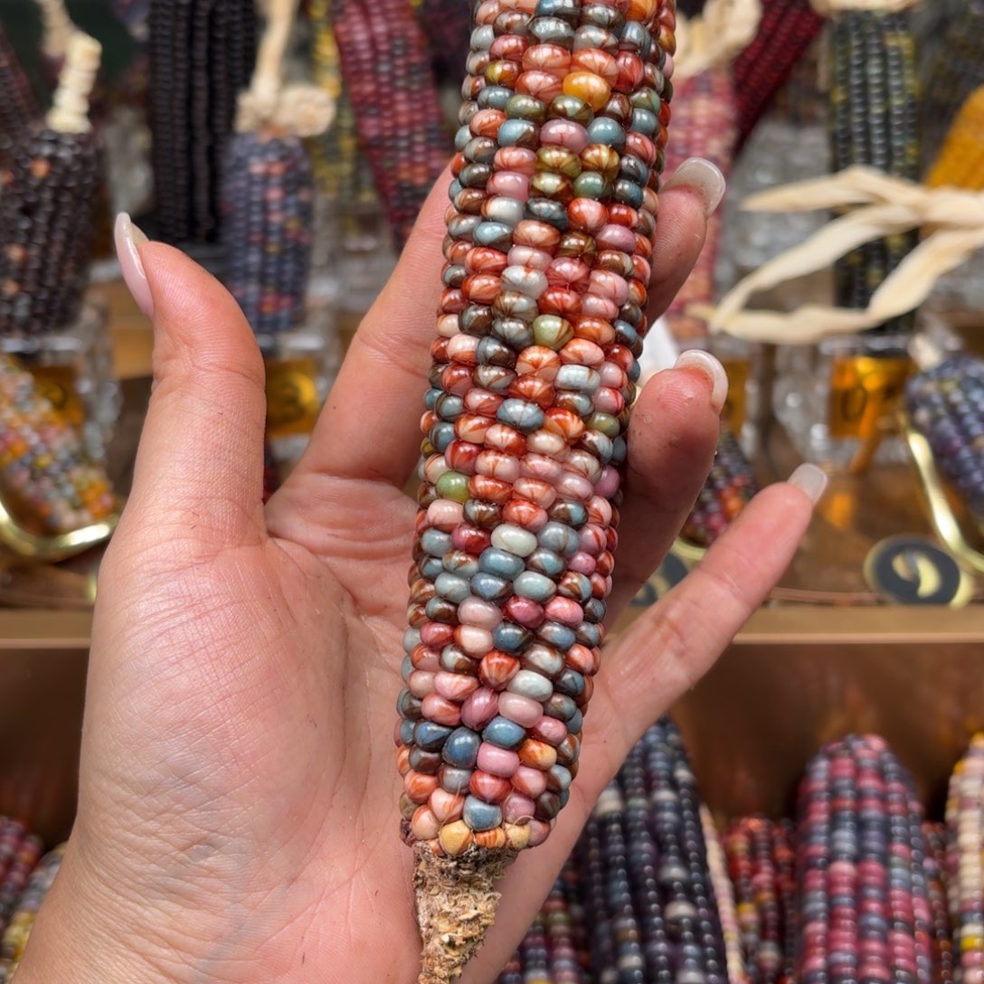 柏香籽/百香籽吊坠h**a