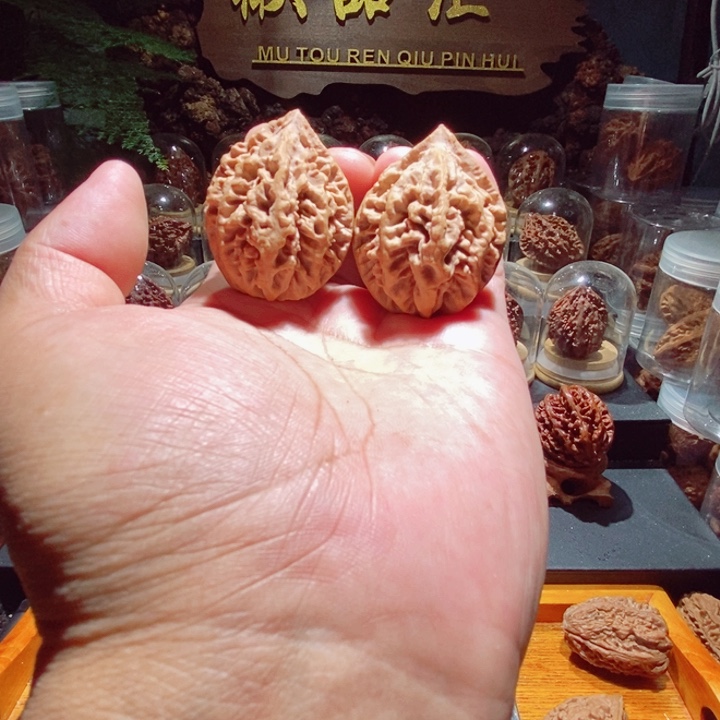 文玩核桃把件握**锋九龙筋