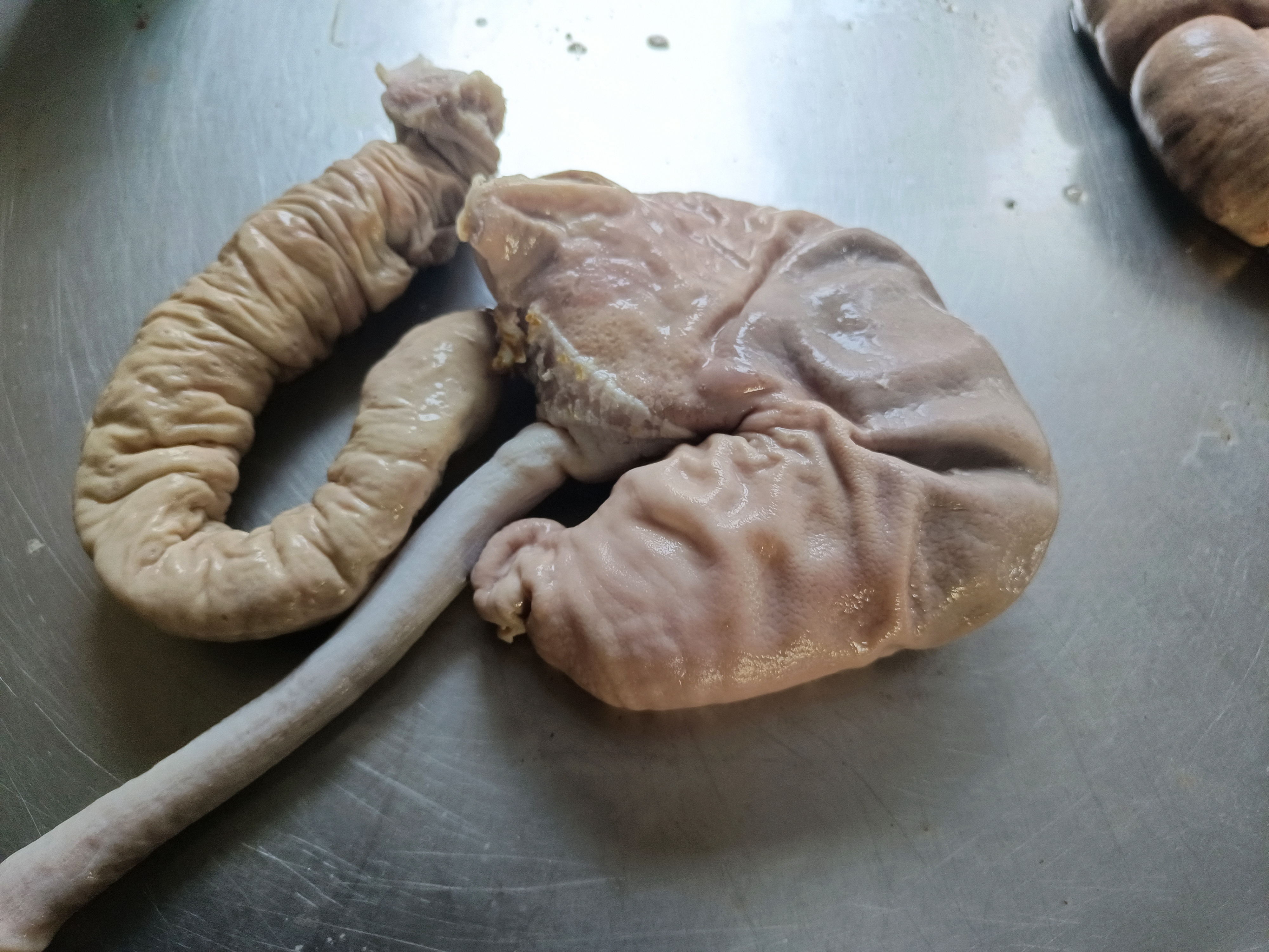 王二丫清水猪煮猪大肠加猪小肚超值装顺丰包邮冷冻发货坏单包赔