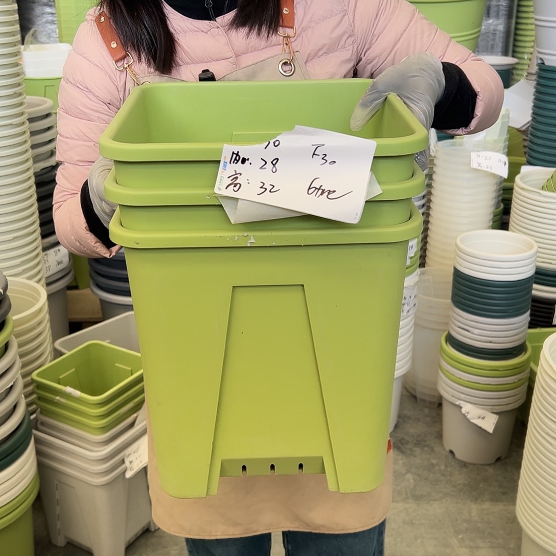 方盆F30#果绿色3个