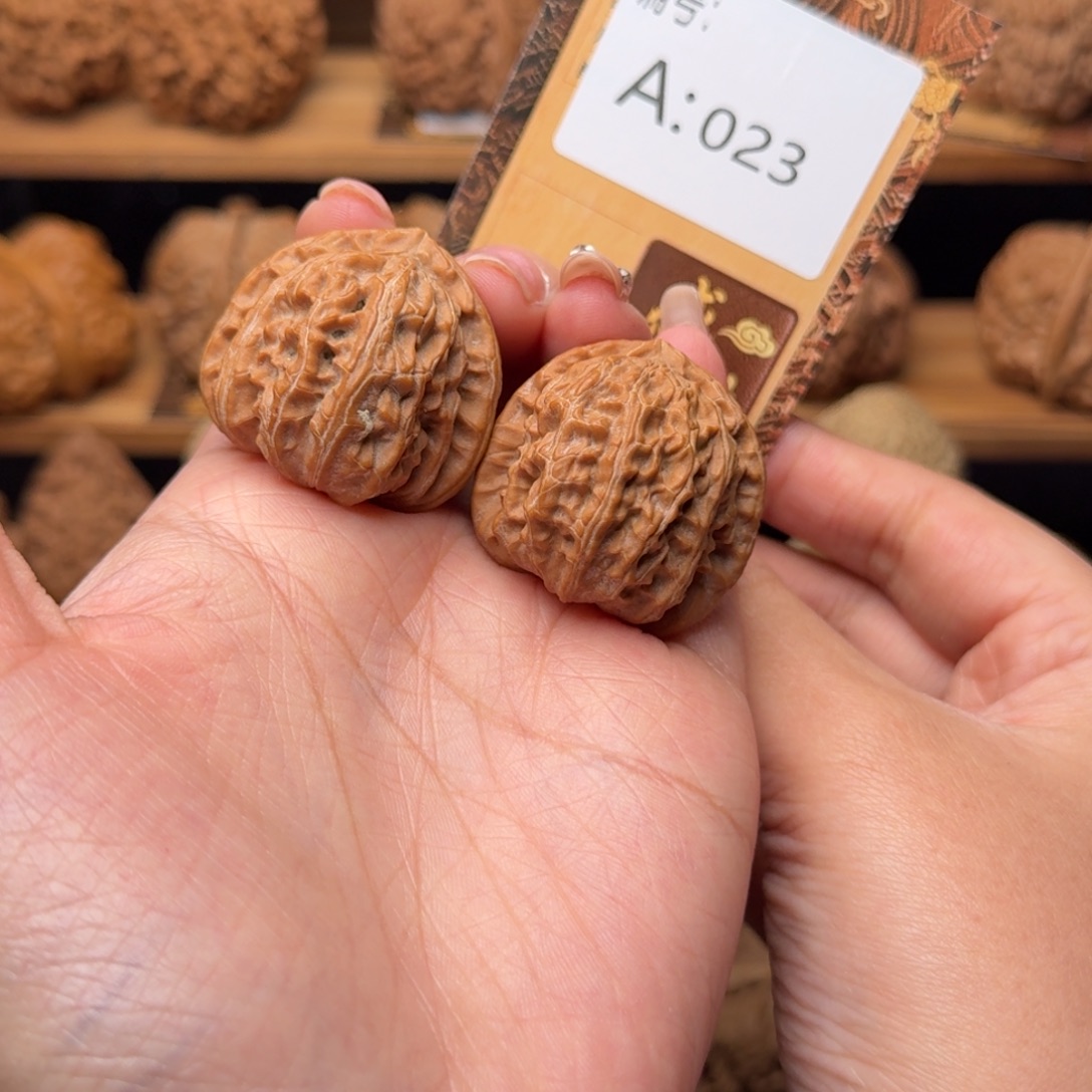 核桃a023白狮子3.3全品