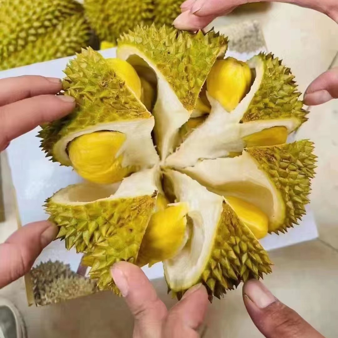  H-泰国进口金枕整颗新鲜软糯香甜皮薄肉厚新鲜水果-老徐29