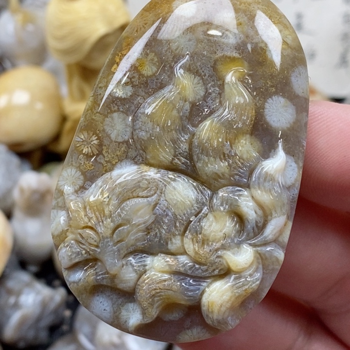 颈饰未镶嵌硅化珊瑚（珊瑚玉）