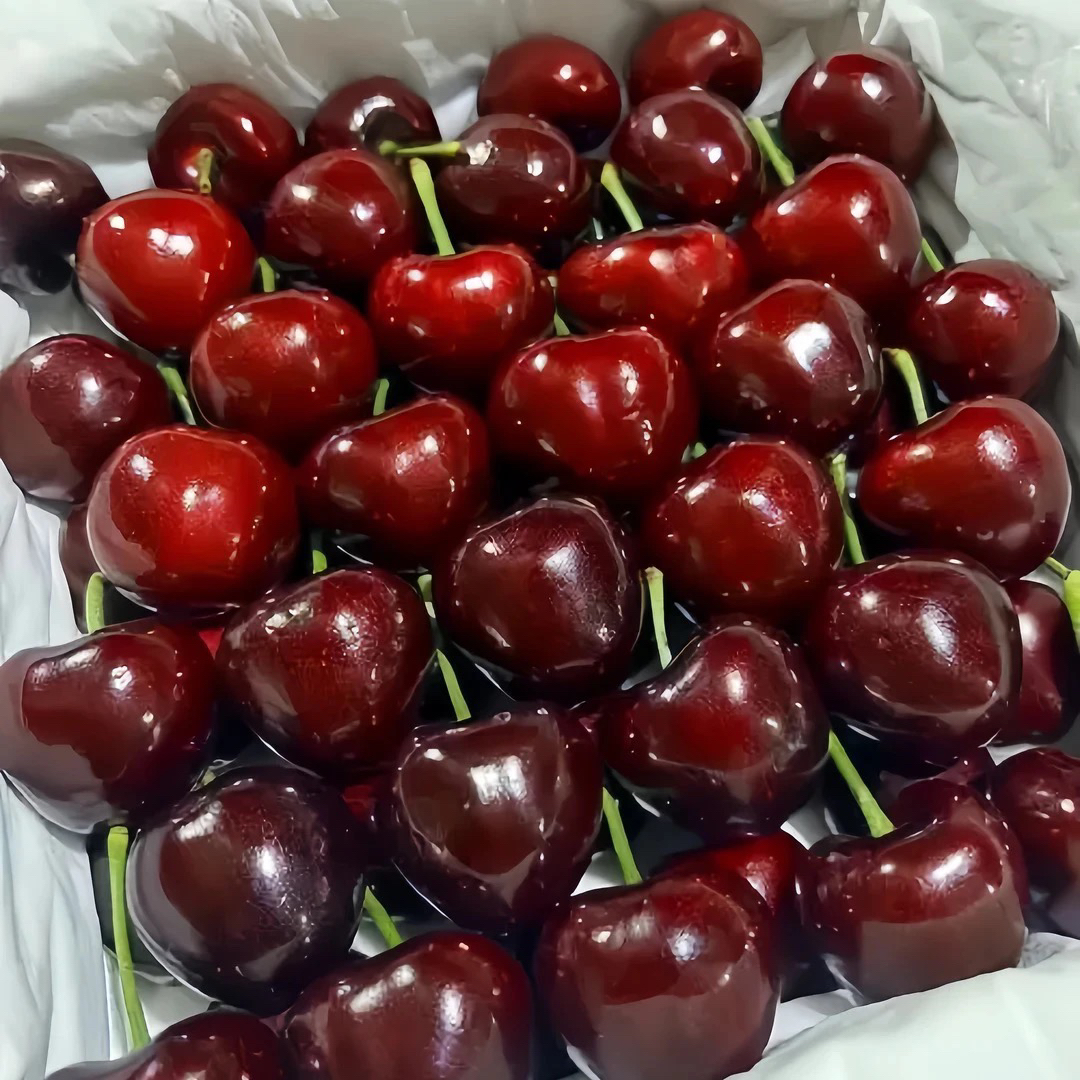 海运智利3JF车厘子1000g尝鲜内赠果径卡皇家黎明智利