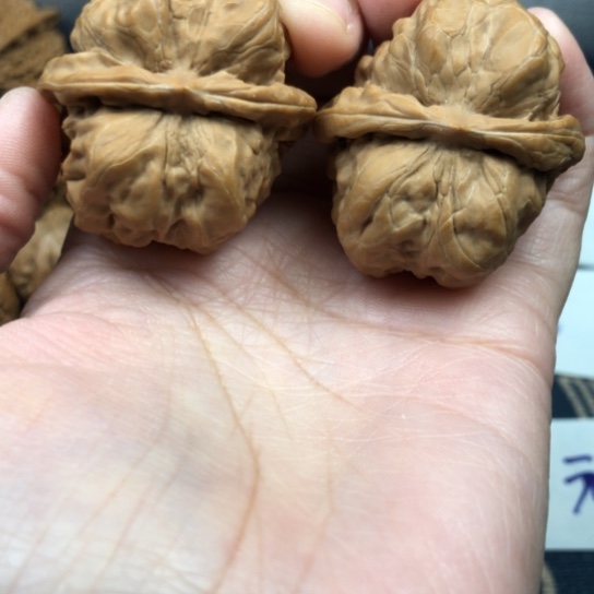 阿****把件文玩核桃蛤蟆头