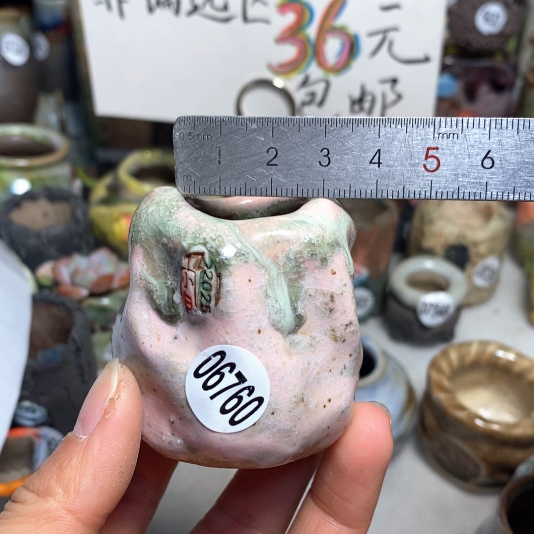 花盆拍3送一个小礼物