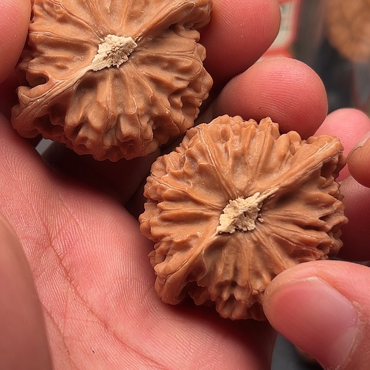 把件文玩核桃宫灯45