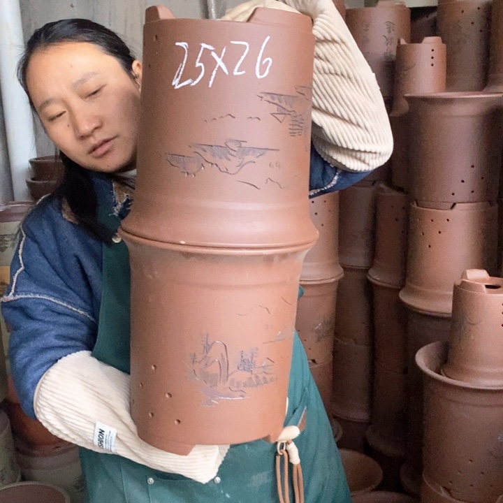 紫砂花盆盆栽花卉苗木种植