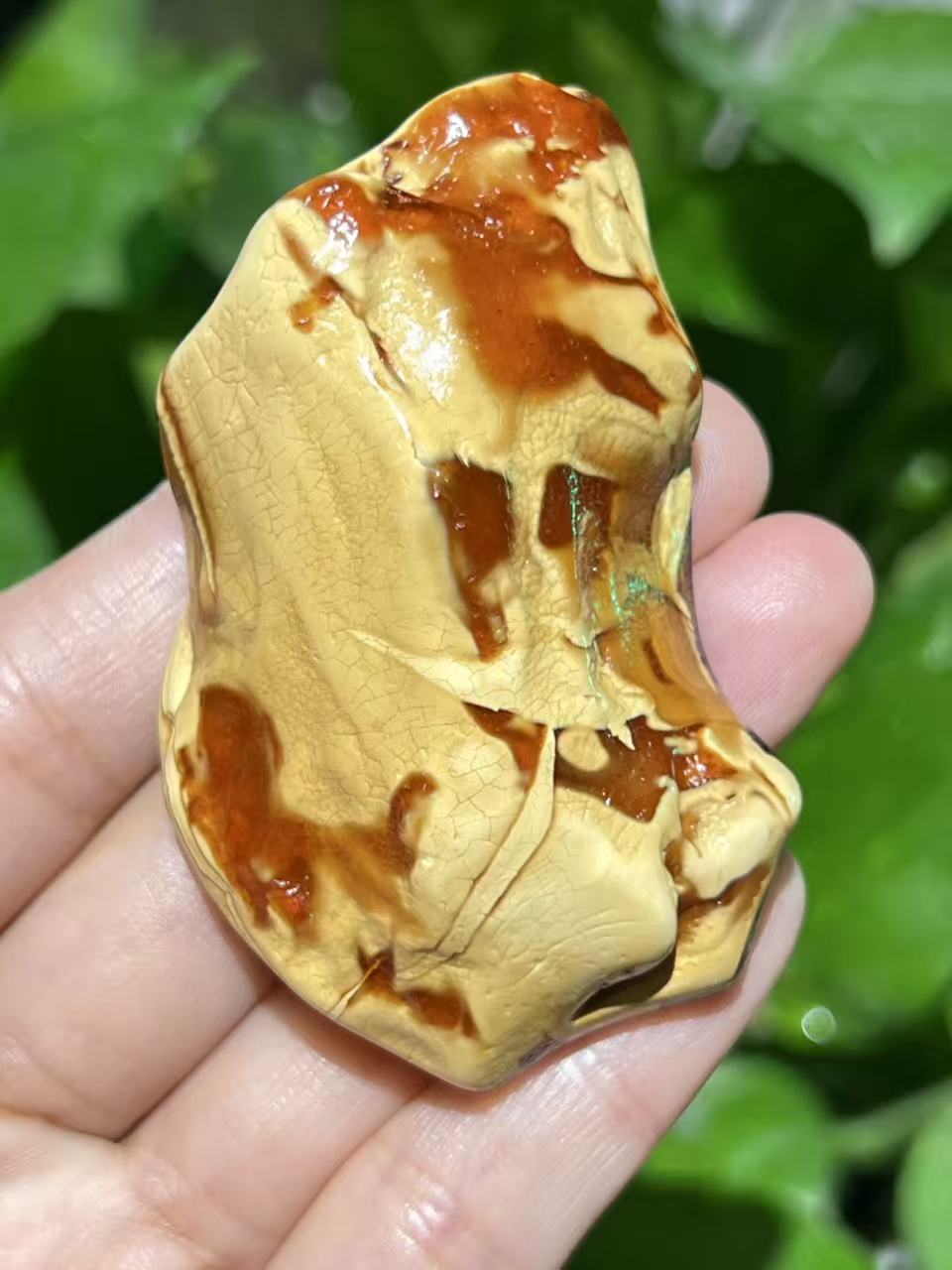 天然琥珀蜜蜡精品红花蜡原石  红白两色   清新淡雅  蜡质浓郁 