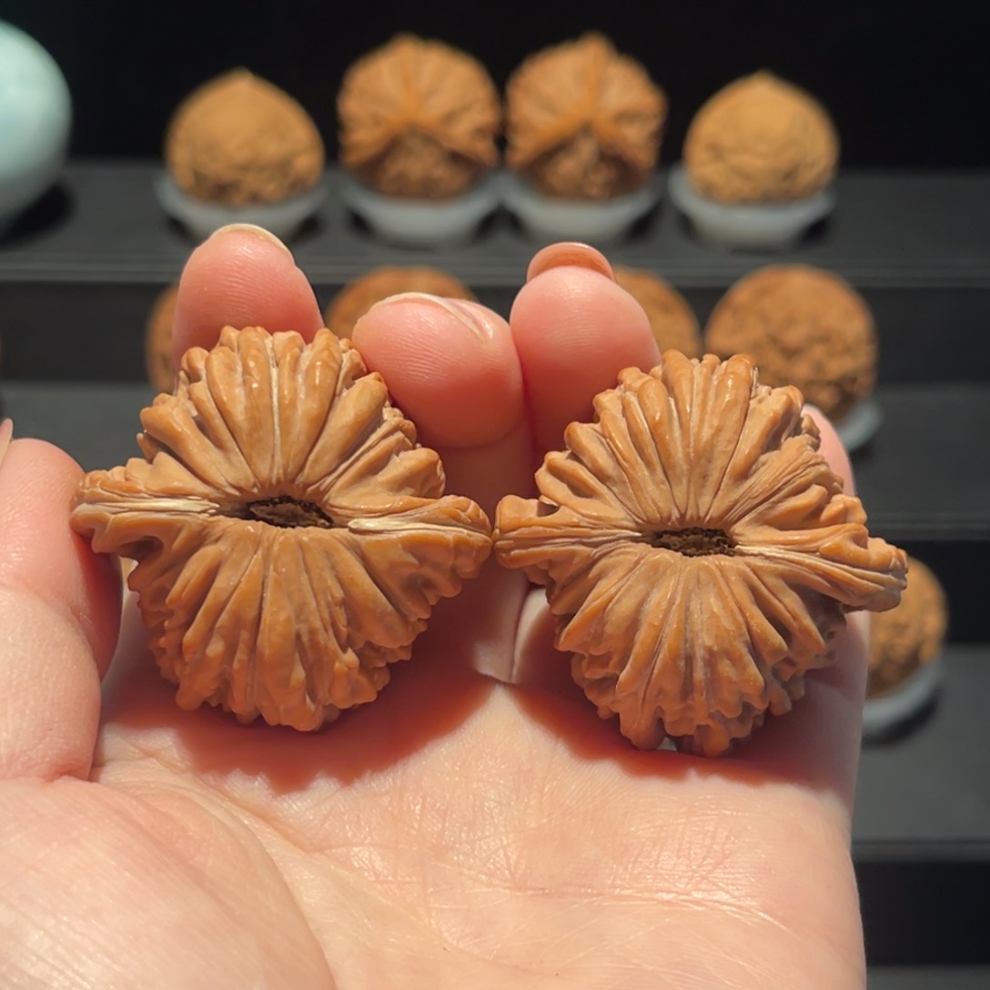 四座楼41精品大漏361