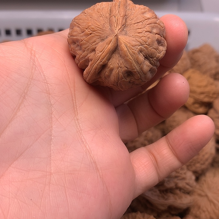 壬***年文玩核桃吊坠文玩核桃