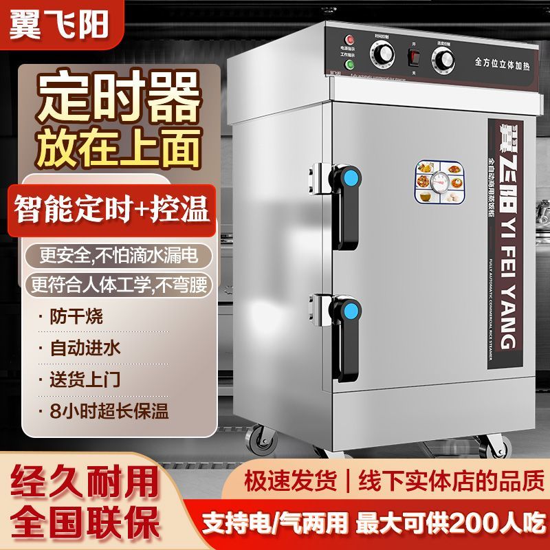 翼飞阳厨房专用蒸箱商用蒸箱蒸饭柜全自动家用电蒸箱小型蒸馒头