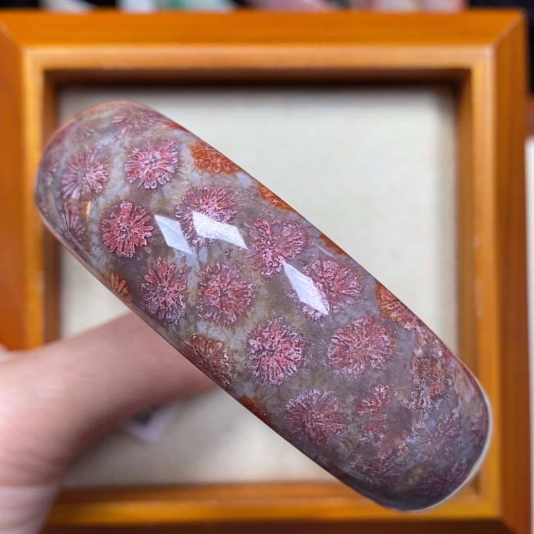 硅化珊瑚（珊瑚玉）未镶嵌手镯圈口60.7