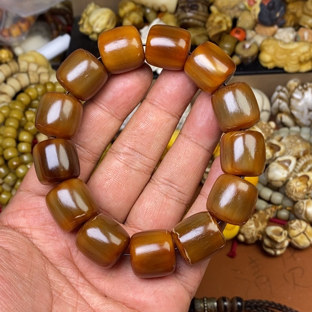 其他驼骨人工样子