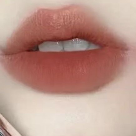 弟弟 枫叶红丝绒唇膏 顶头有油脂味#840 