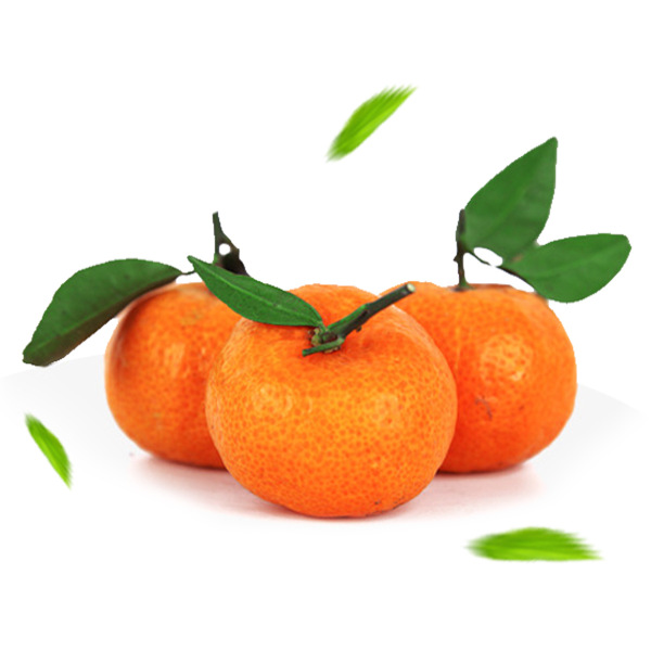 沙糖桔约2斤 约2斤