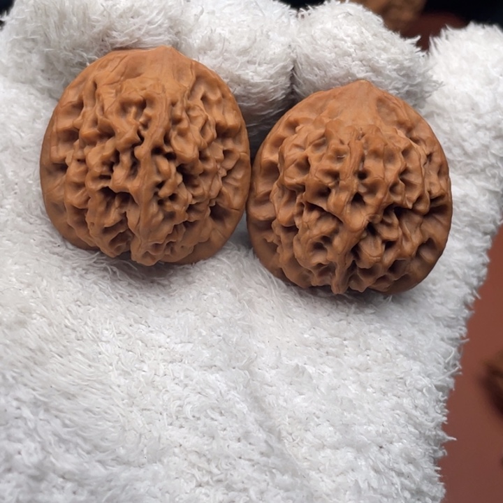 弄***杯木质类秦核等人的故事也在这里展开