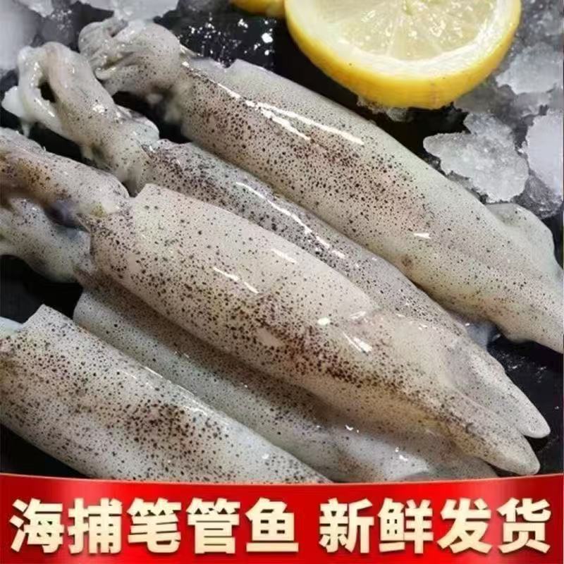 【4斤装】新鲜速冻鲜嫩笔管鱼海兔子小管鱿鱼捕捞冷链1斤10-16条