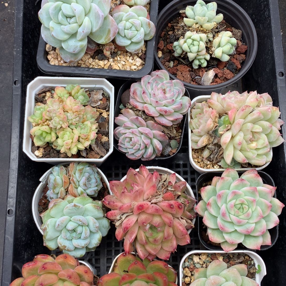 1121-57 套餐一组