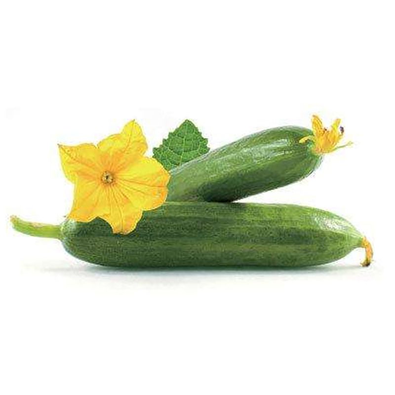 水果黄瓜_（2-3根装）约400g