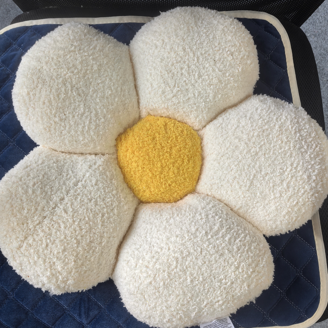 小银直径约45厘米ins风白色太阳花抱枕发1个（微脏）