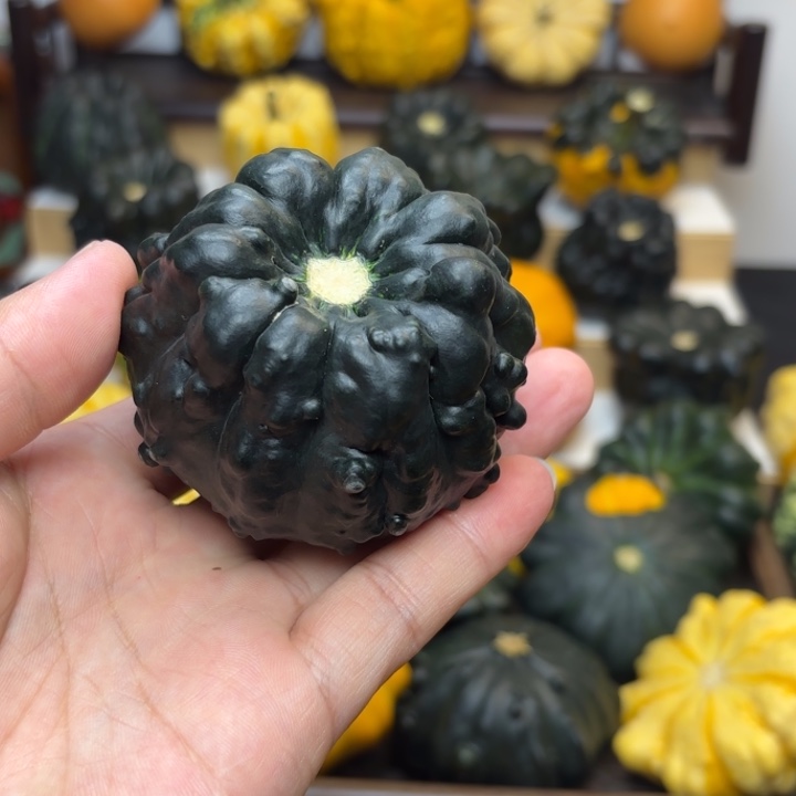 刘*福利福利福利福利