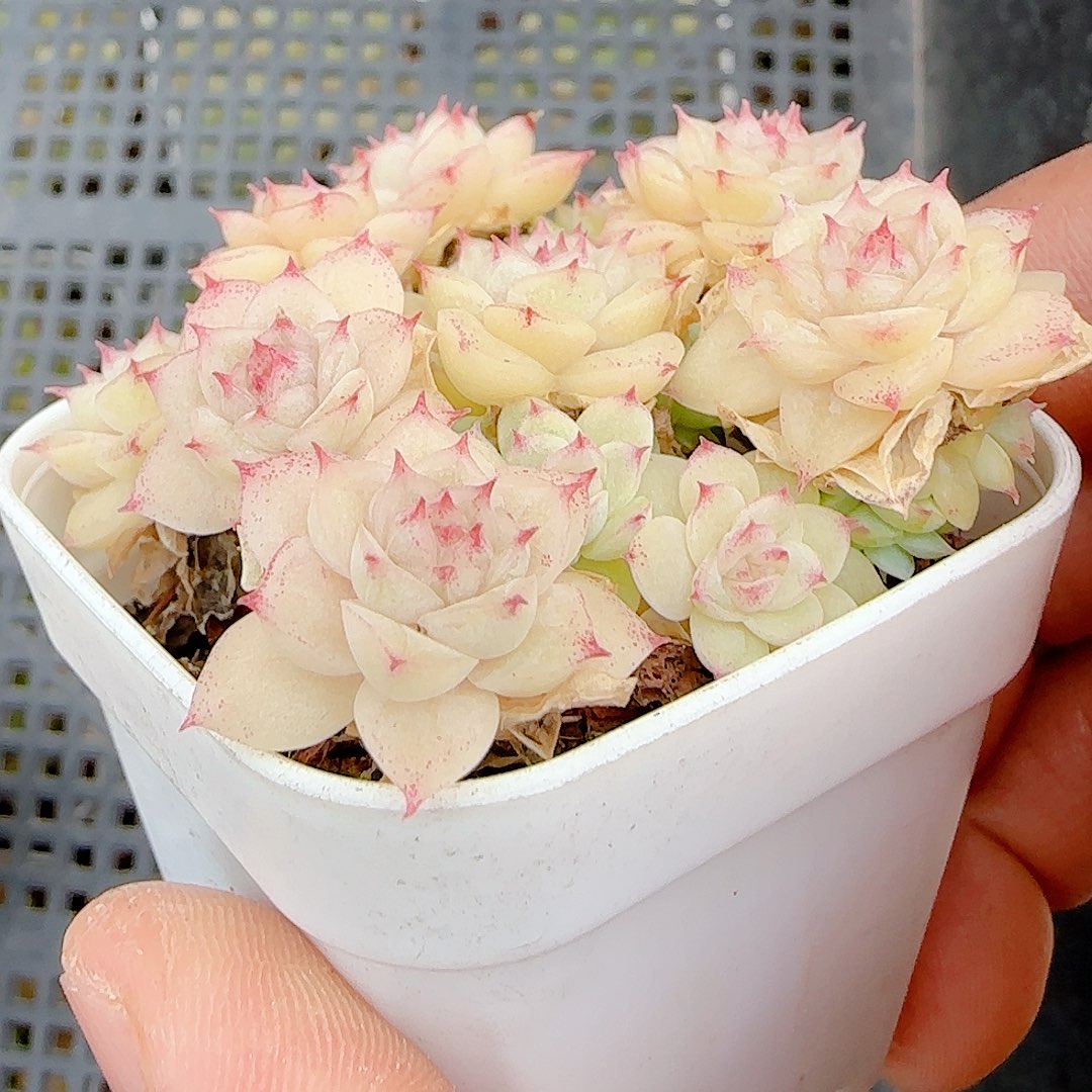 *****1218-11（ppt-18）优选