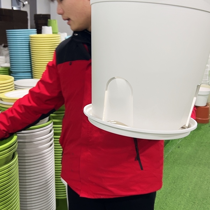 正品圆控口37.5高34白色3只带托