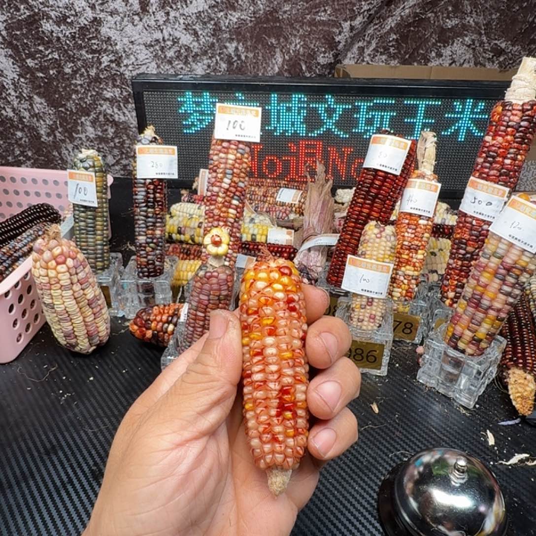 ʚ***然大叶紫檀（黑酸枝木类）