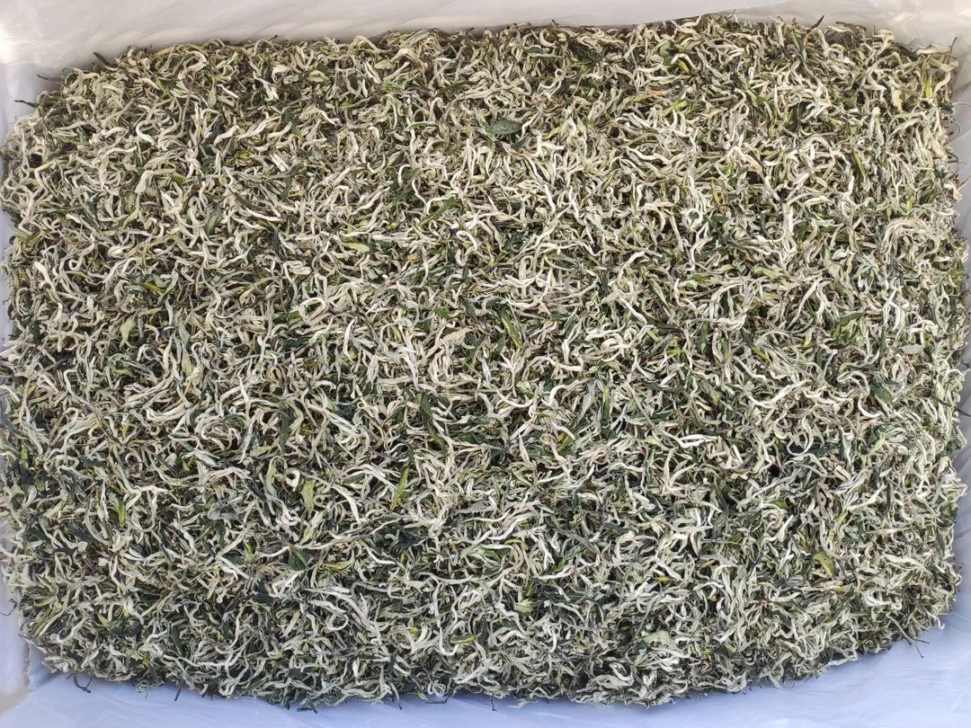 云南春尖绿茶罐罐茶百号一级壹（买一斤送半斤）