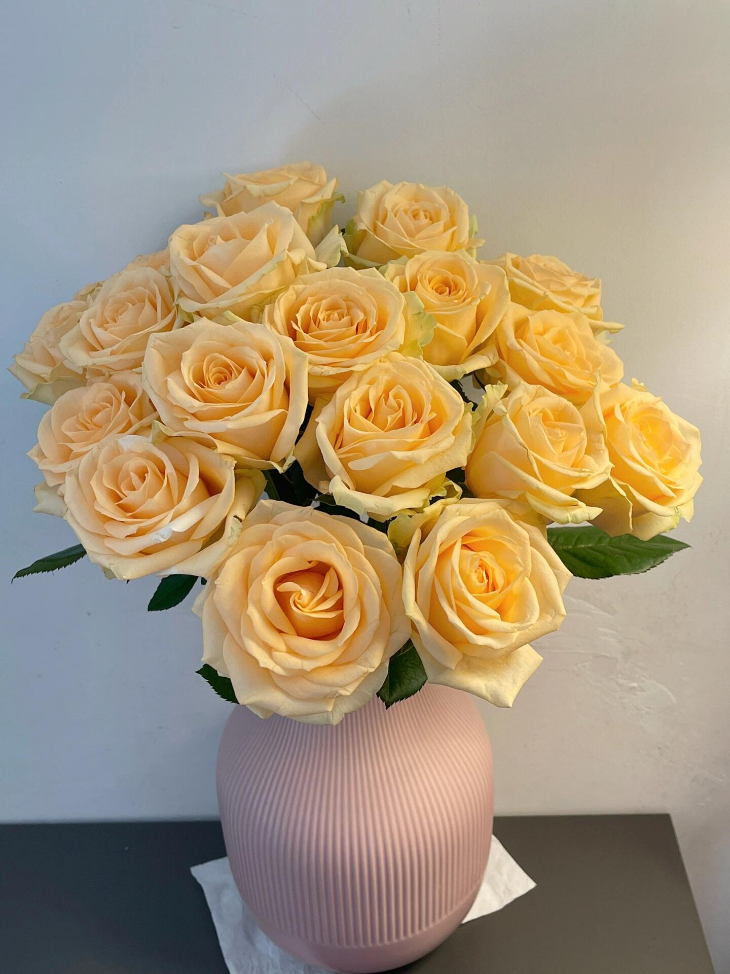 【香槟】云南基地直发同一地址任意2单升级顺丰送配草