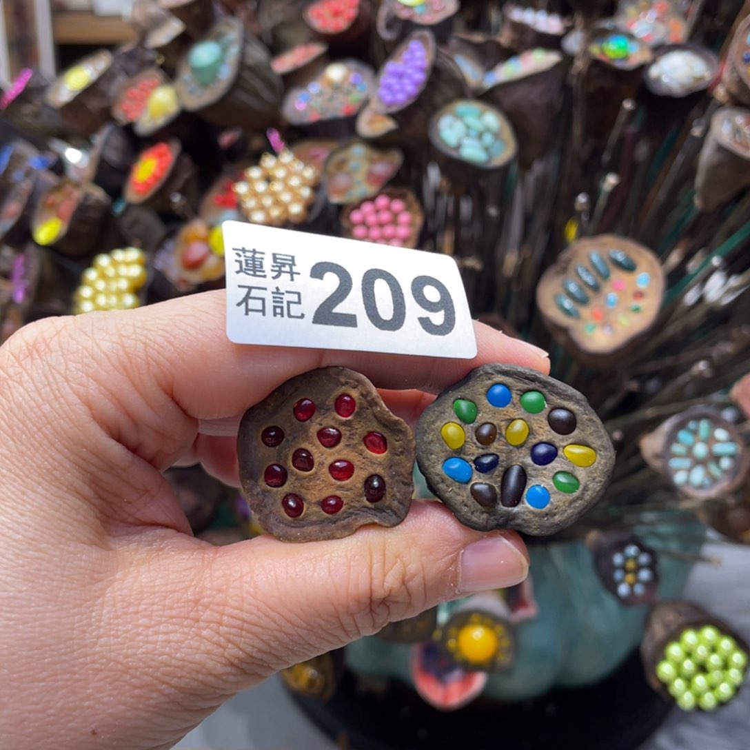 核桃木/黑胡桃（胡桃木）静209