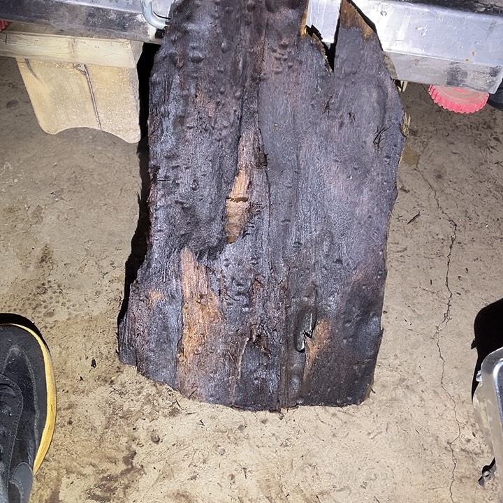 梦***游金丝楠木原料摆件