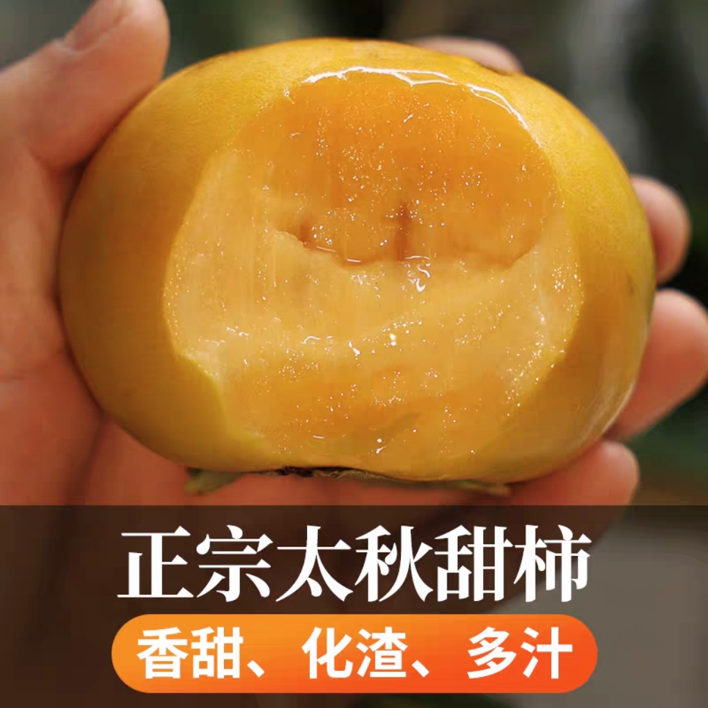 【京东包邮】金奖柿子太秋脆柿水果脆柿子 脆柿天花板不涩口不麻嘴 