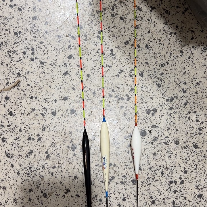 如图所示3只票！！！！