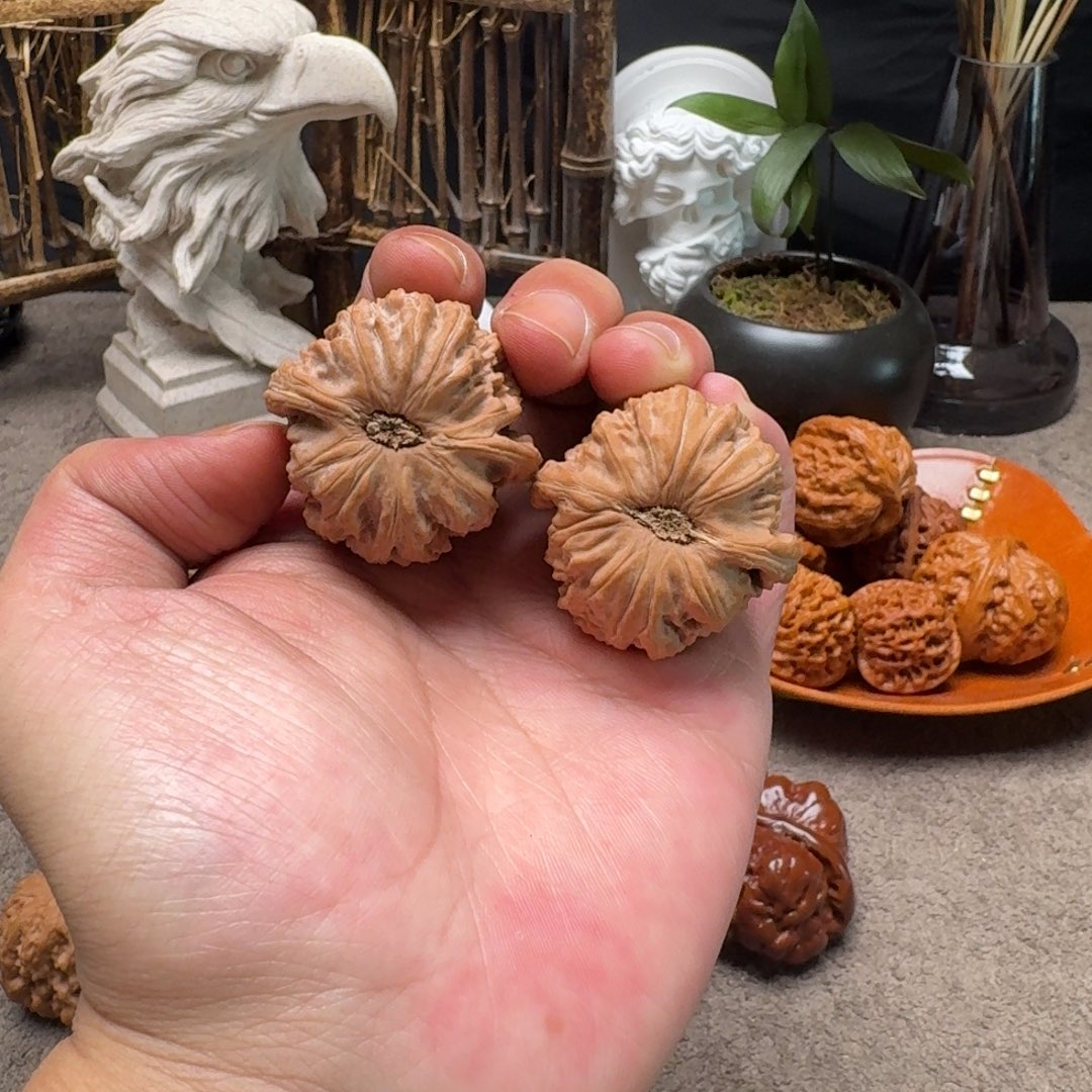 手串/手链核桃40全品卡芝兰球白