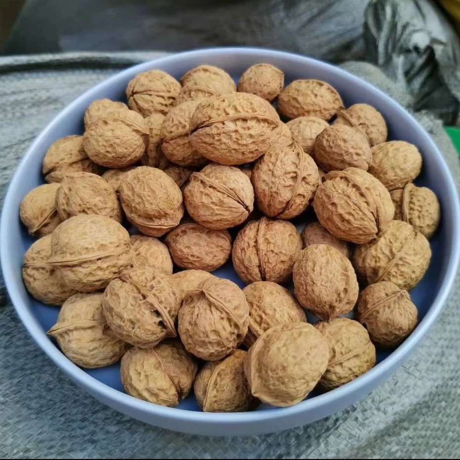 新鲜云南湿核桃去青皮薄壳嫩黑桃孕妇零食脆嫩美味