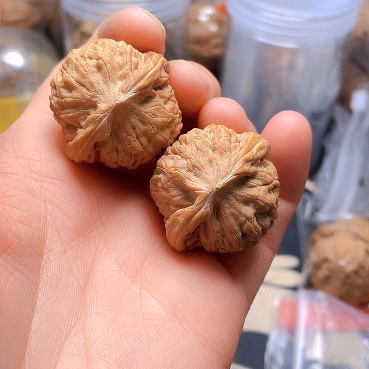 文玩核桃吊坠龙眼儿一对