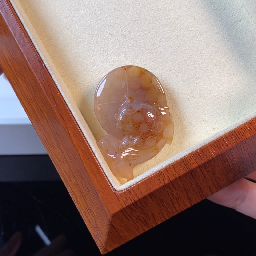 硅化珊瑚（珊瑚玉）未镶嵌颈饰150