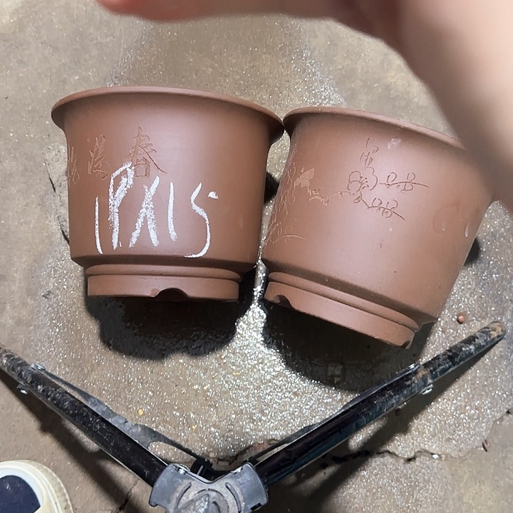 紫砂花盆破损包赔