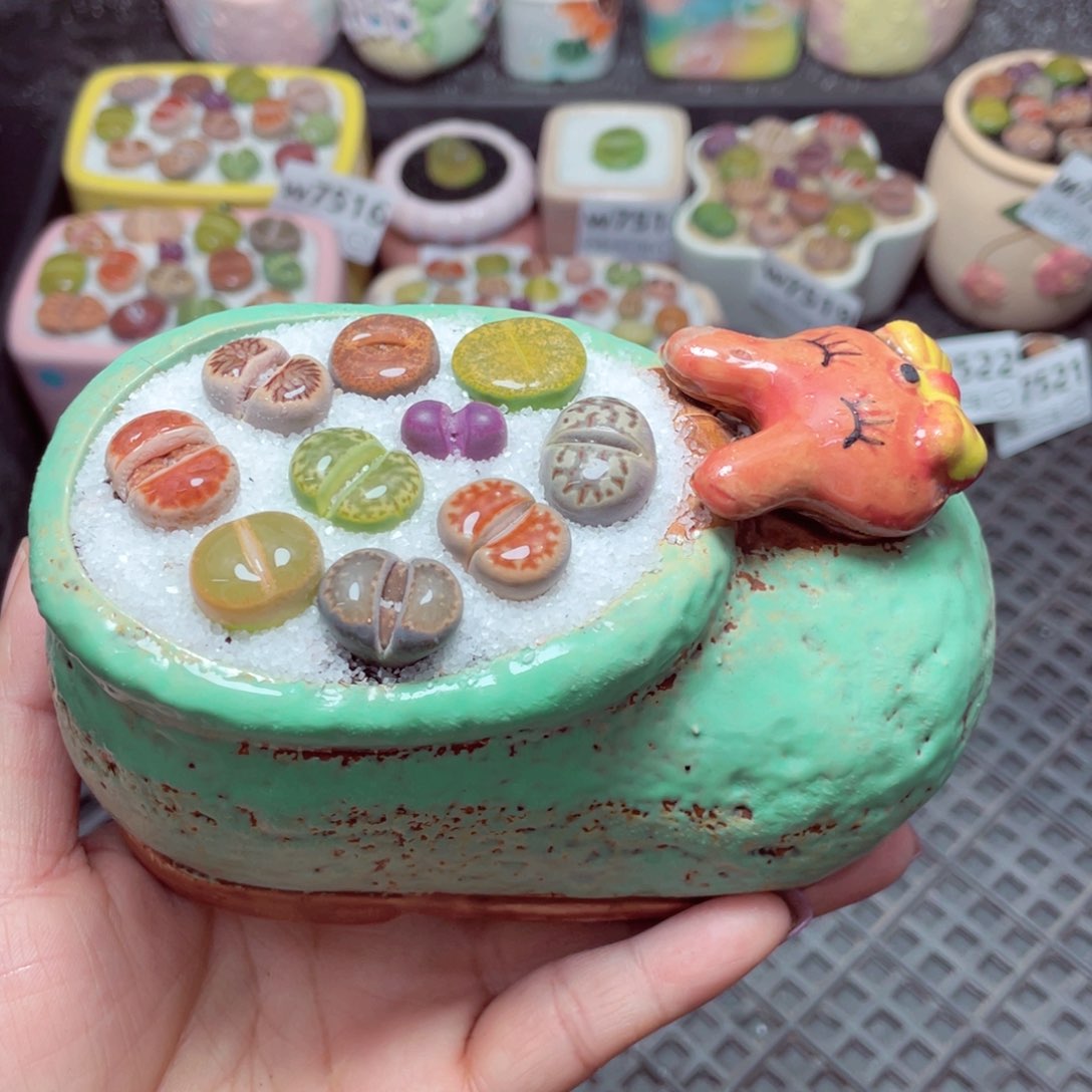 w7525 -零下地区拍保温箱-15支持寄养