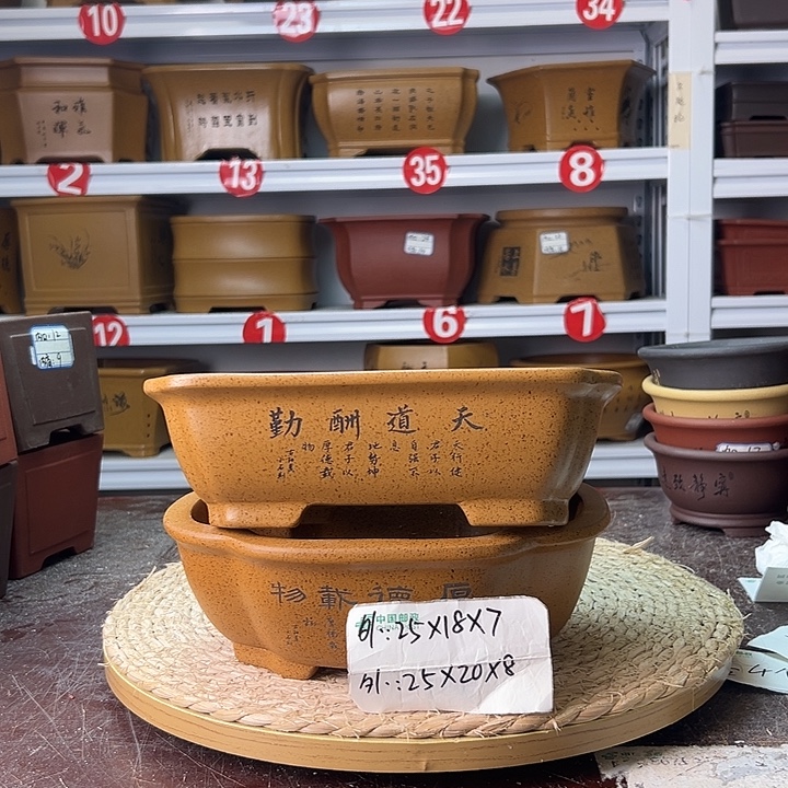 花盆紫砂蛇年大吉