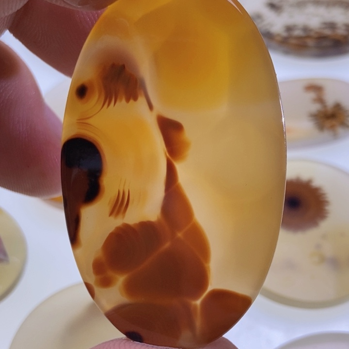 【闪购商品】未镶嵌颈饰玛瑙/玉髓