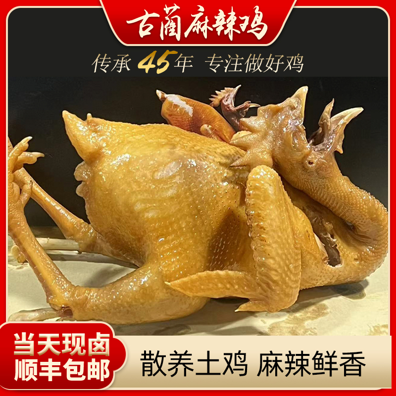 张记正宗古蔺麻辣鸡黄鸡（乌脚）约1400g顺丰包邮