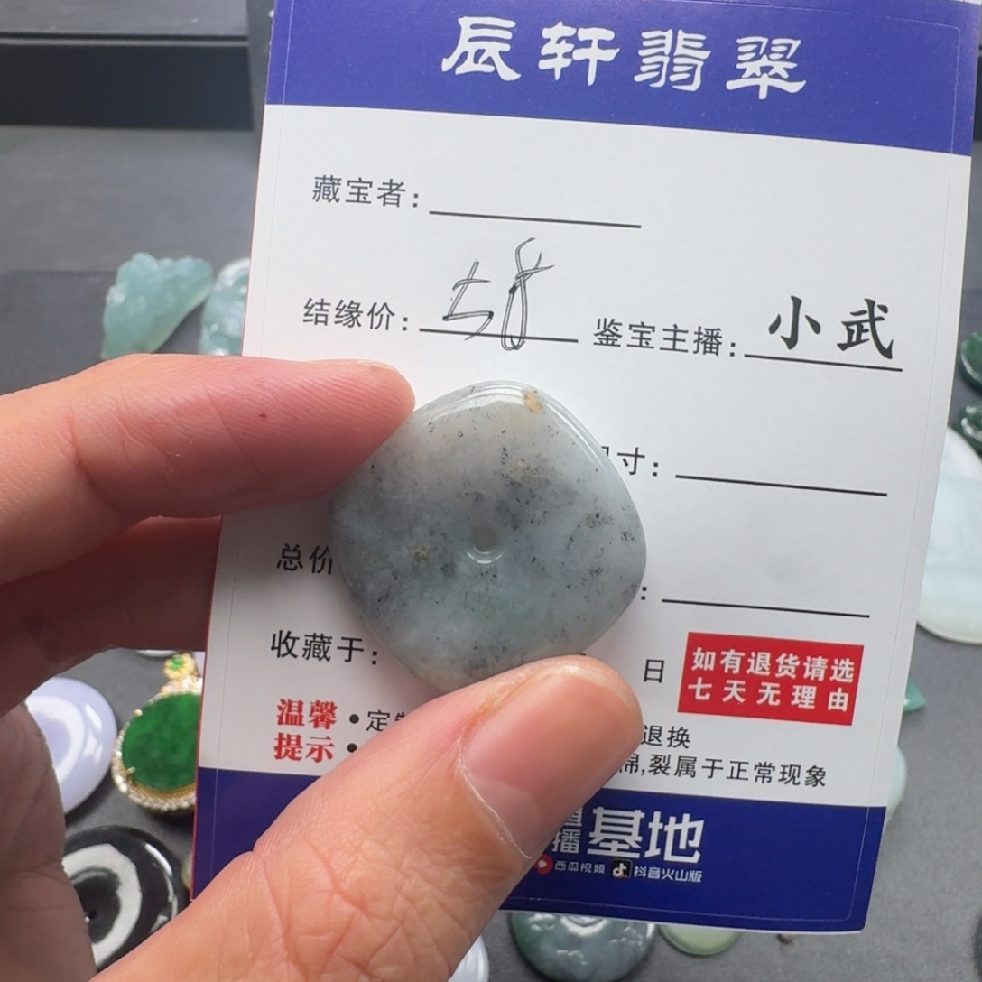翡翠未镶嵌颈饰     35