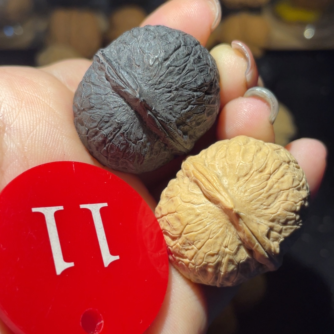 阴阳对33尺寸核桃。 
