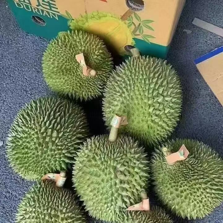 【云，贵，川，渝，两广】小凯专属泰国长柄榴莲