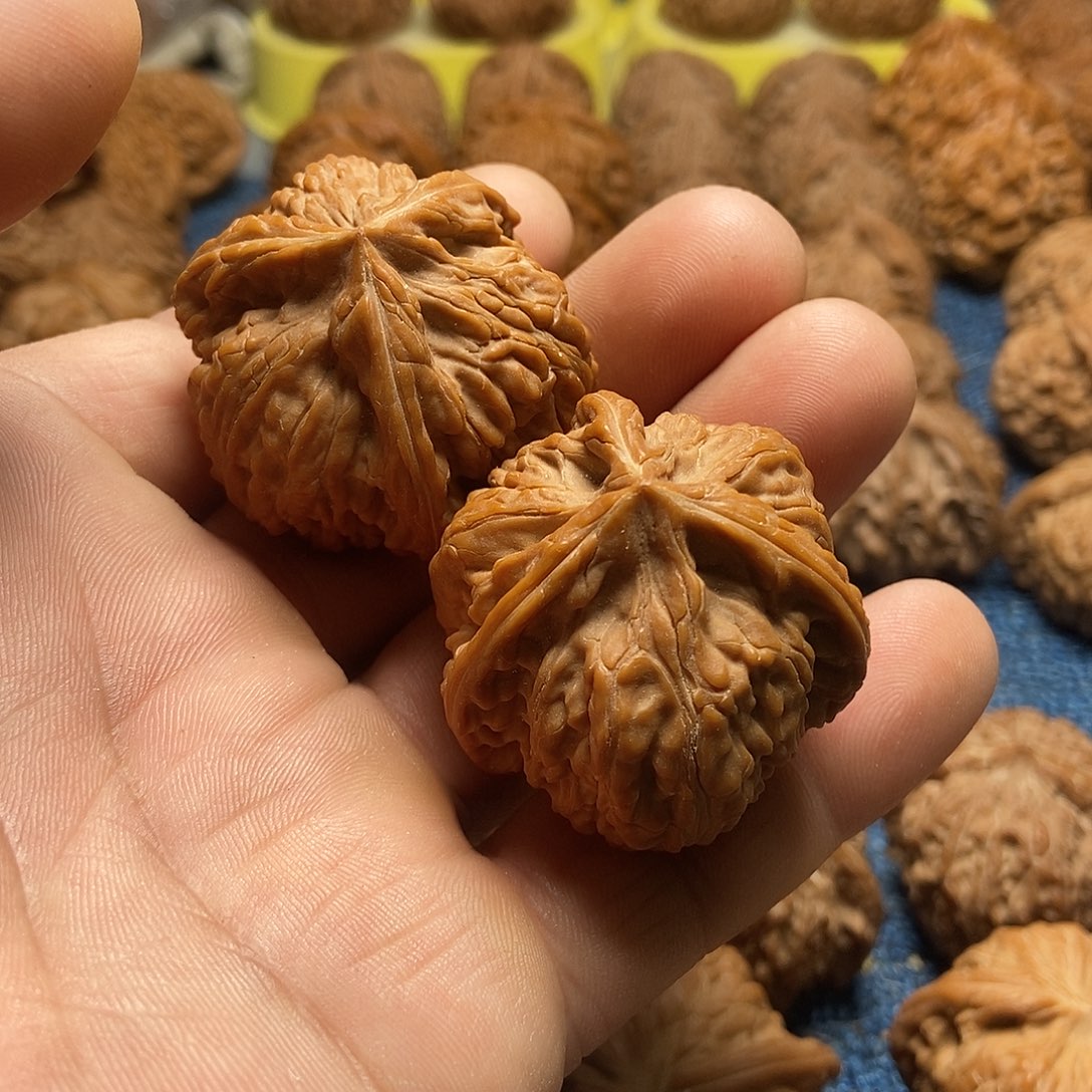 荔***枝把件文玩核桃文山