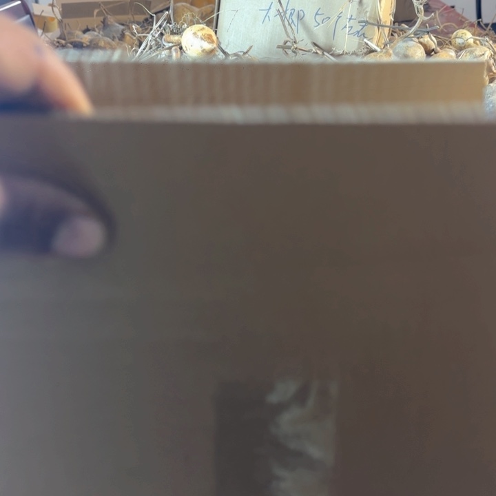 用****7葫芦蚂蚁葫芦处理