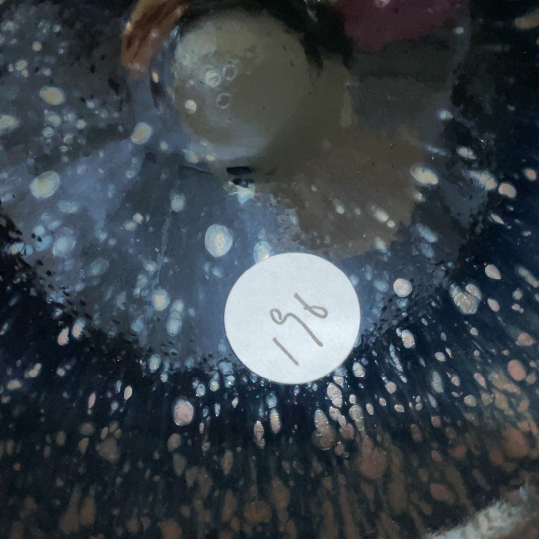 茶盏66666666666666666